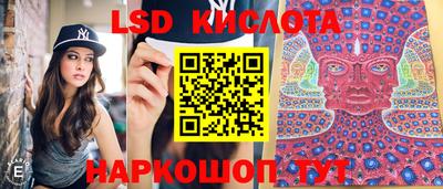 скорость Шелехов