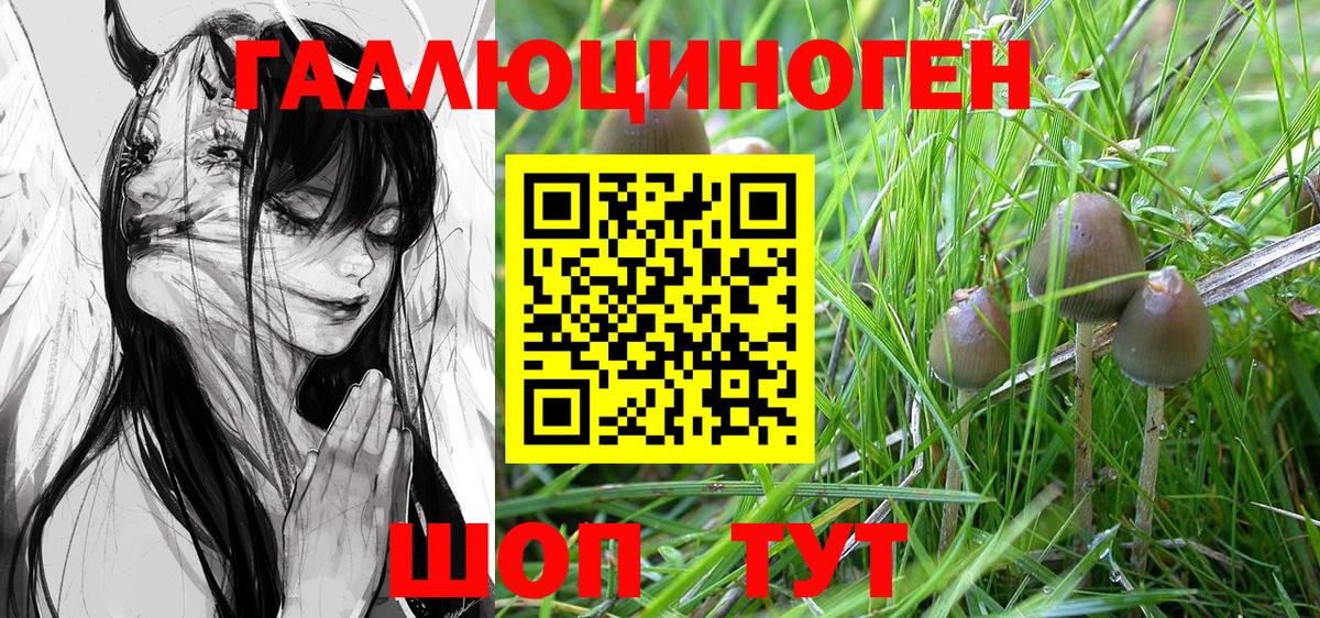Галлюциногенные грибы ЛСД Алушта
